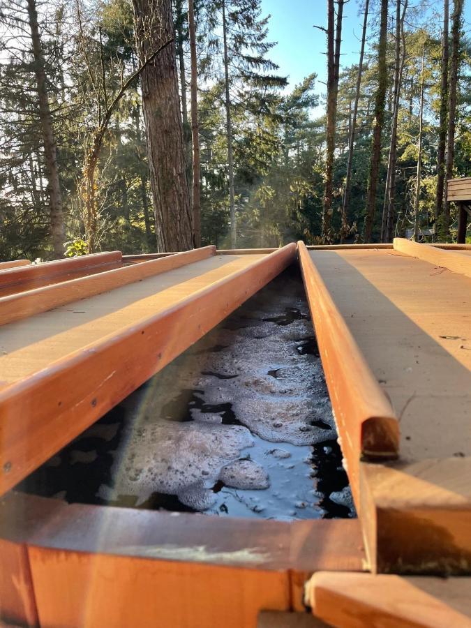Bain De Foret - Lodges Cosy & Spa Neufchâtel-Hardelot 外观 照片