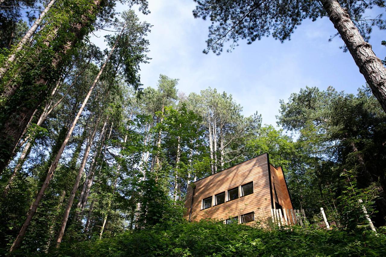 Bain De Foret - Lodges Cosy & Spa Neufchâtel-Hardelot 外观 照片