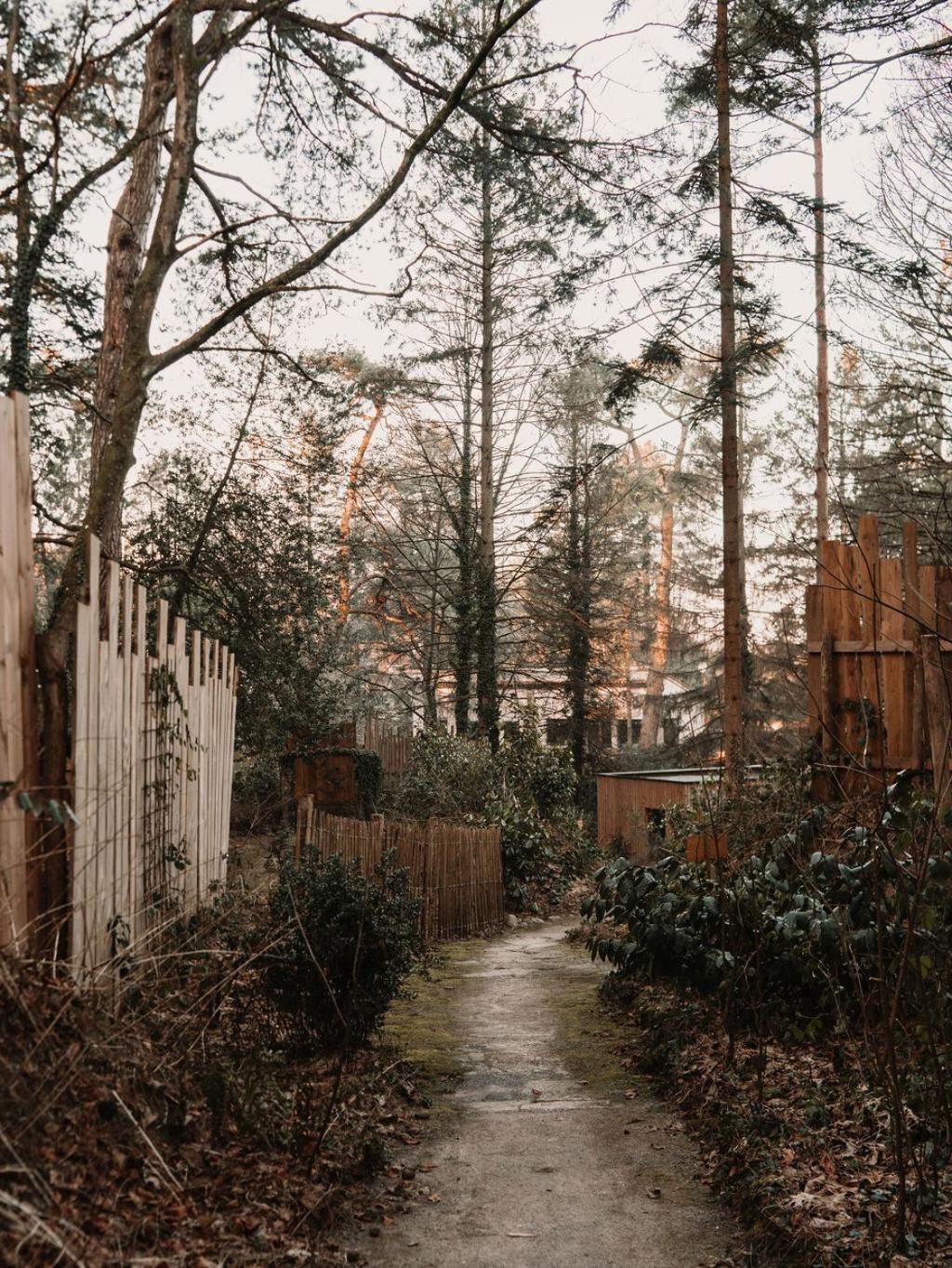 Bain De Foret - Lodges Cosy & Spa Neufchâtel-Hardelot 客房 照片