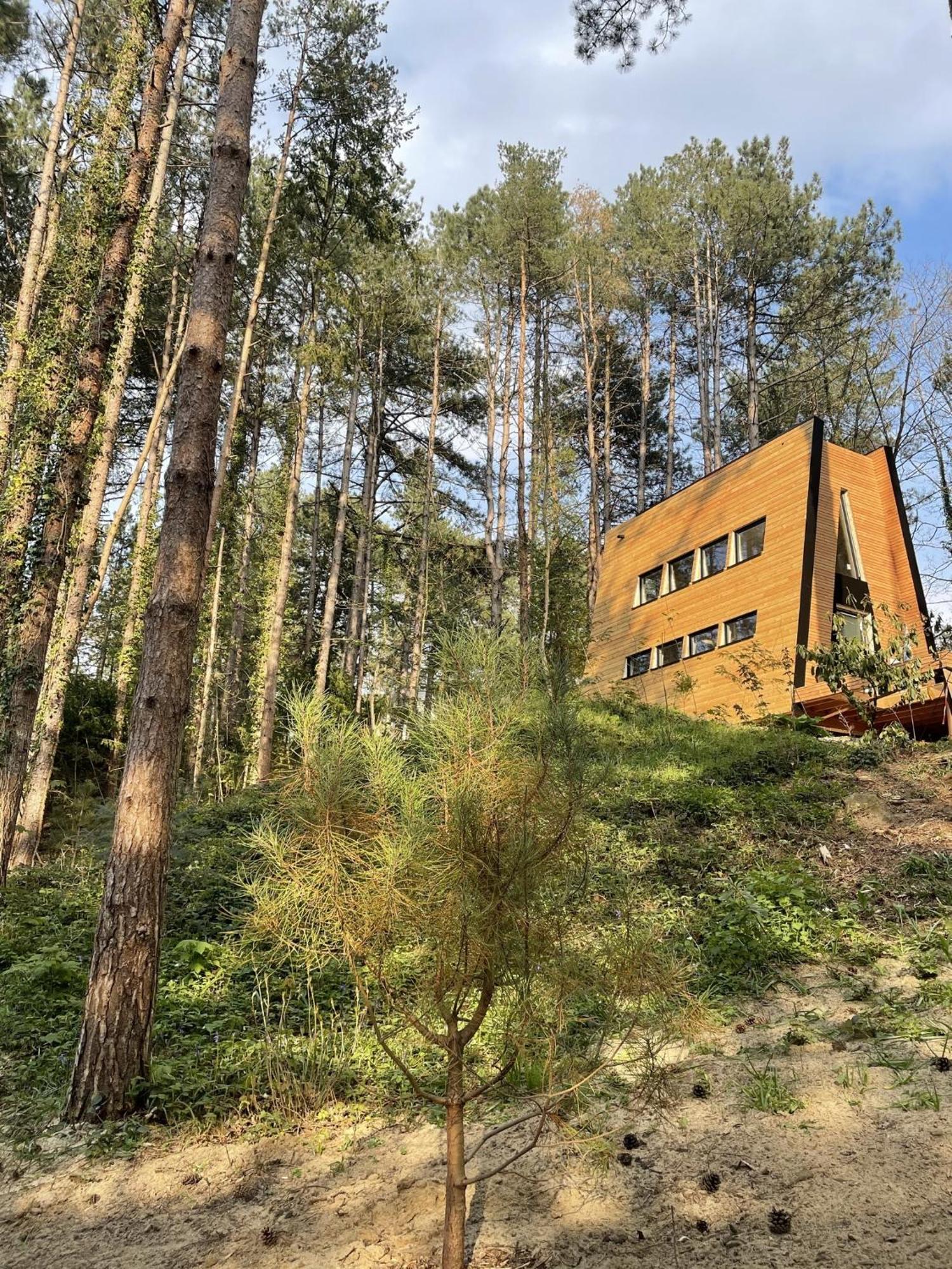 Bain De Foret - Lodges Cosy & Spa Neufchâtel-Hardelot 客房 照片